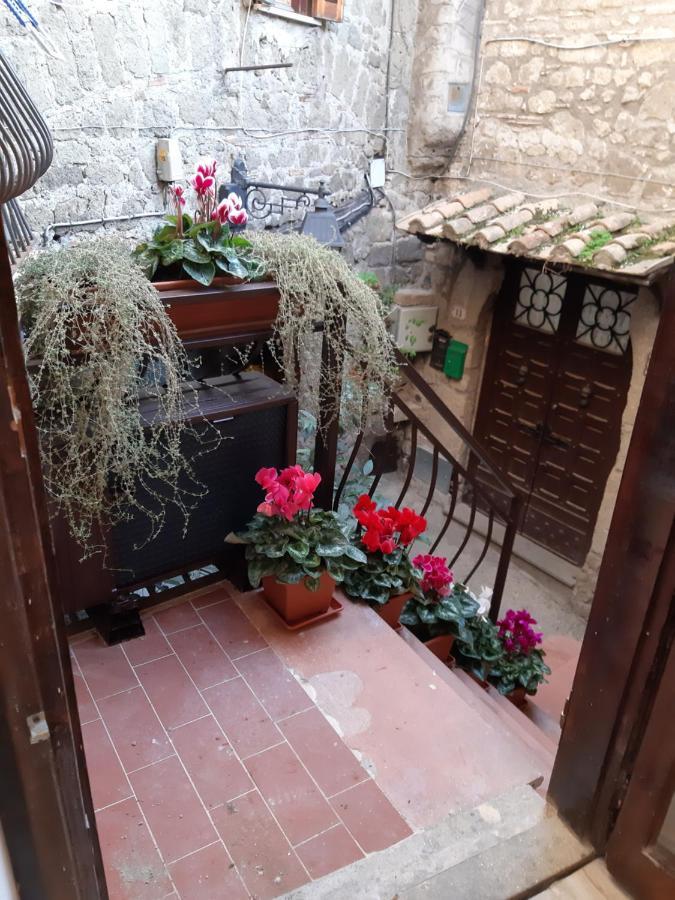 Villa Gusto E Benessere Sweet Home E Ristorante Sacrofano Eksteriør billede